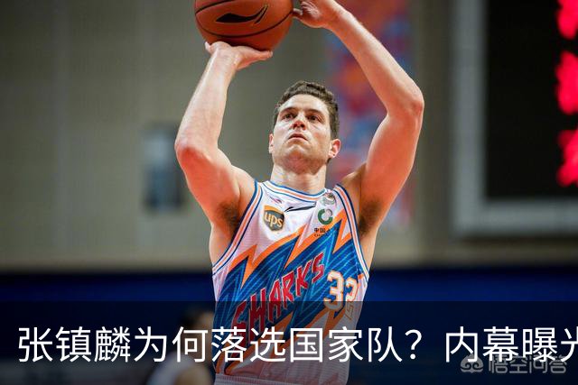 张镇麟为何落选国家队？内幕曝光，叫人心疼，郭士强并没放弃他